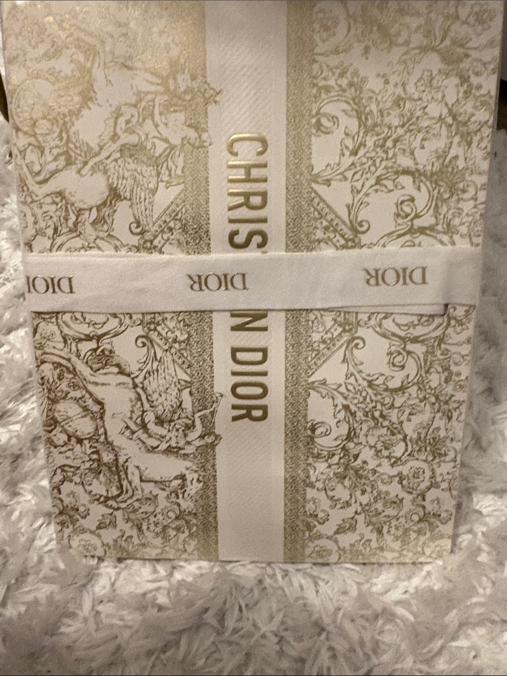 Small Christian Dior Gift Bag